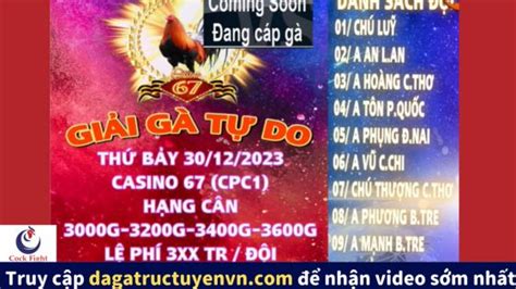 dagatructuyenvn.com|Tổng hợp video Gà Đá Giải .